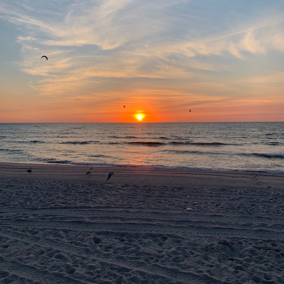 Meet your Posher, Allison - Picture 1 of 1